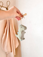 Bitzy Pal Natural Rubber Pacifier & Plush