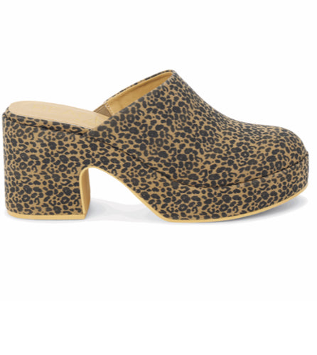 Jayde Leopard Clog Matisse
