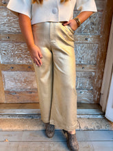 Golden Glam Coated Pants