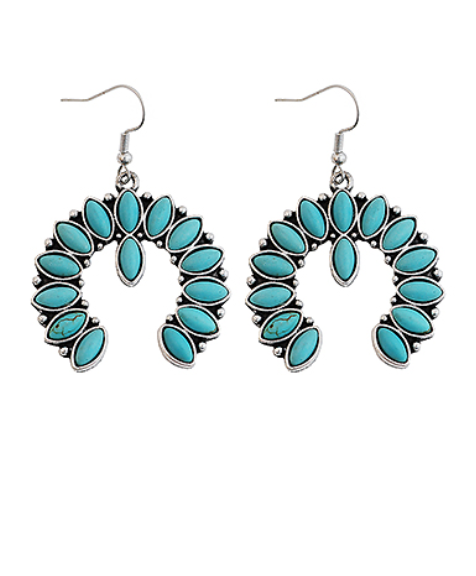 Western Style Stone Earrings