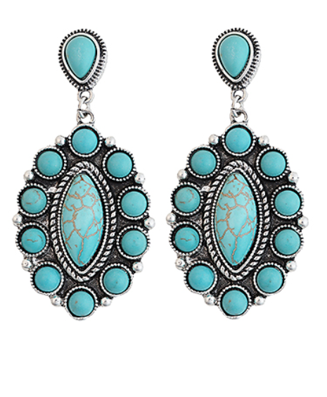 Linear Round & Oval Stone Earrings