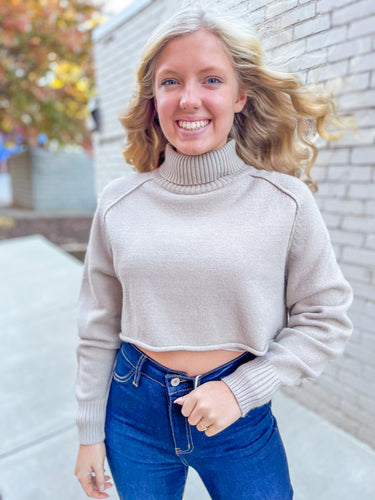 Autumn Breezes Turtle Neck Cropped Sweater